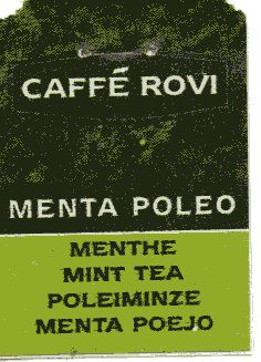 Poleo Menta_104